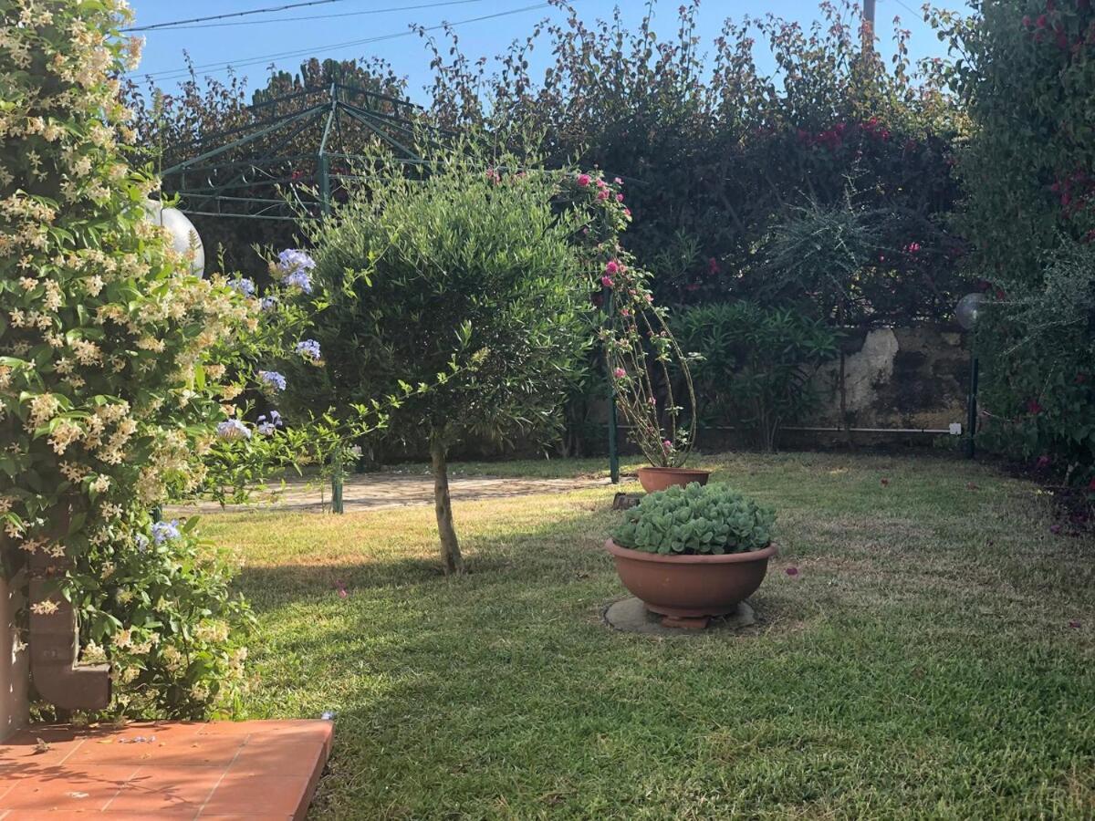 Le Tre Palme Villa Fontane Bianche Exterior photo